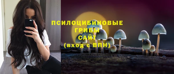 2c-b Алзамай