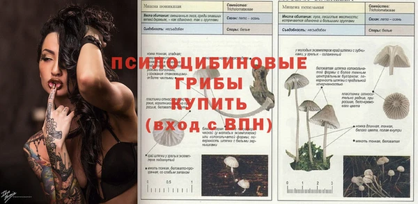 дурь Абаза