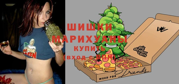 дмт Алексин