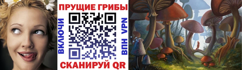 купить   Нижний Тагил  Галлюциногенные грибы MAGIC MUSHROOMS 